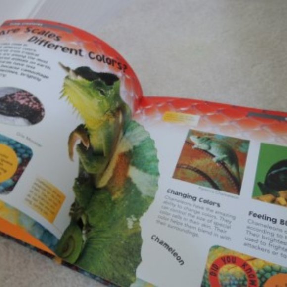 Scaly Creatures - Animal Touch Hardcover Book July 25, 2005 - NEW - Picture 2 of 6